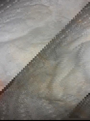 #มีมูกเลือดออกนิดน่อย ควรไปหาหมอเลยไหมค่ะ 39w+2d