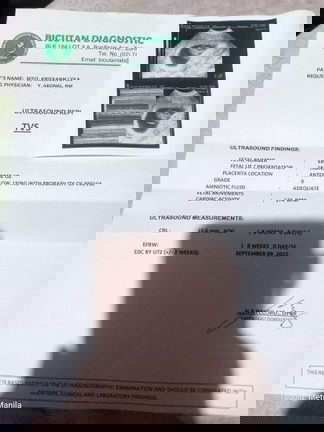 ULTRASOUND RESULTS