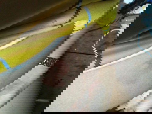 สอบถามหน่อยค่ะ