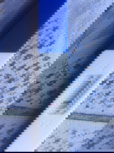 น้องมาแล้วจ้าา