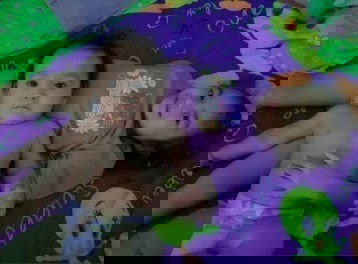 หมดชีวิตหมดหัวใจจะขอใช้เพื่อเธอ #รักที่สุด💕สุดที่รัก