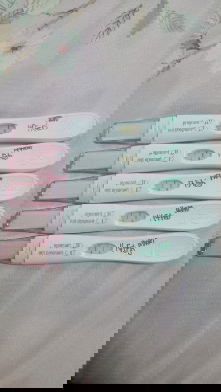 Pregnancy after blighted ovum