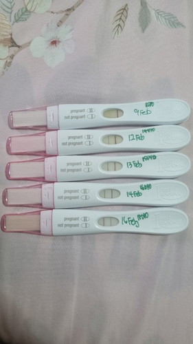 Pregnancy after blighted ovum