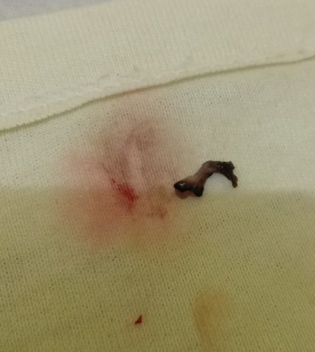 Malamm bunda mau tanya donggg