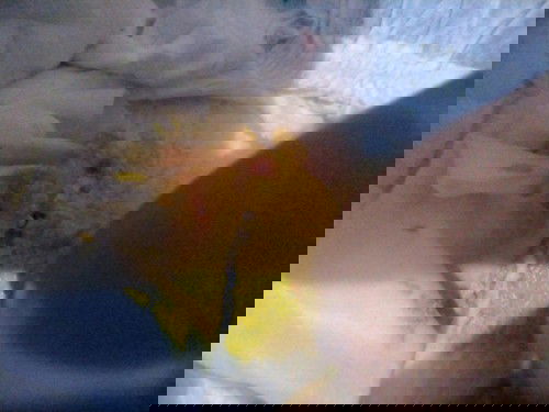 pup bayi 1bulan20hr mengeluarkan lendir darah sedikit