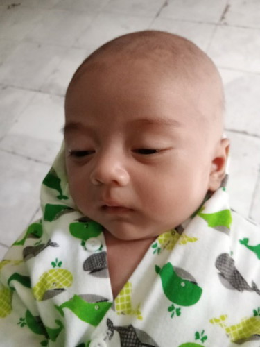 Seputar anak