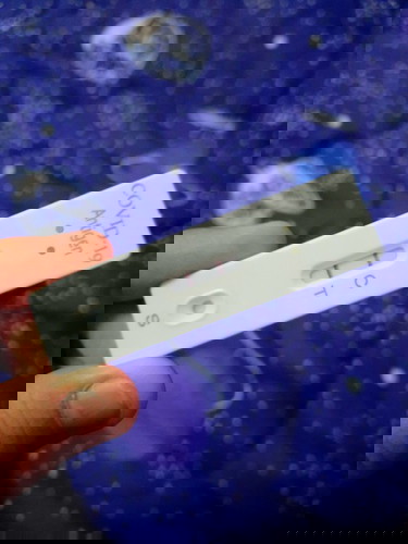 ติดโควิดตอนท้อง