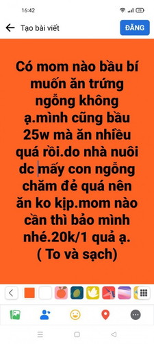 Trứng ngỗng cho các Mom Bầu Bí cần