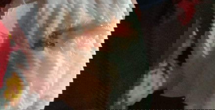 มีมูกออกแบบนี้ออกแต่ไม่มีอาการปวดท้องหรืออาการอื่นๆเลย 36+2