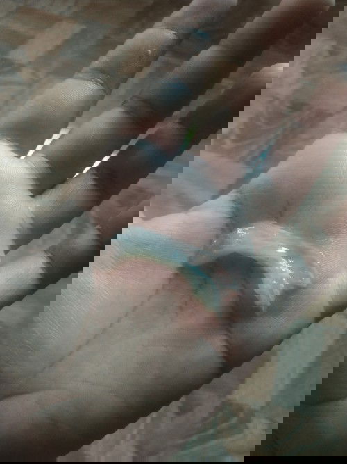 แนะนำหน่อยค่ะท้องแรก❣️