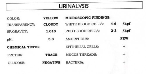 Urinalysis Report