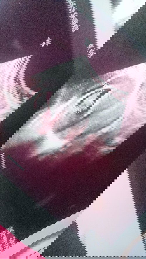 Kehamilan pertama di usia 9 week