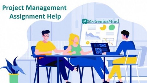 Project Management Assignment Help