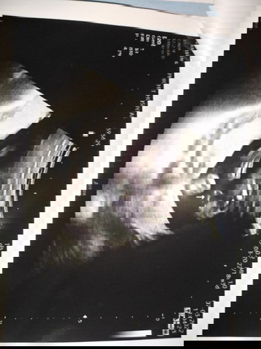 เพศอะรัยค่ะ