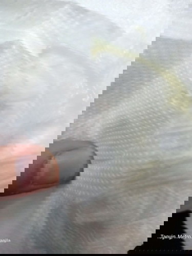 Yellow green Discharge