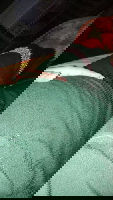 Bunda ada yang merasakan cedutan molai hamil masuk 13 minggu gak 
Soalnya saya sudah merasakannya