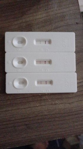 Mengandung lagi