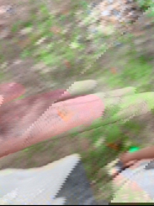 มูกแบบนี้คือมูกอารายคะ