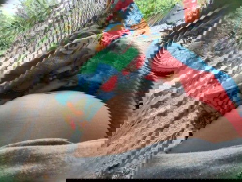 บ้านนี้ 31wจะเข้า32w