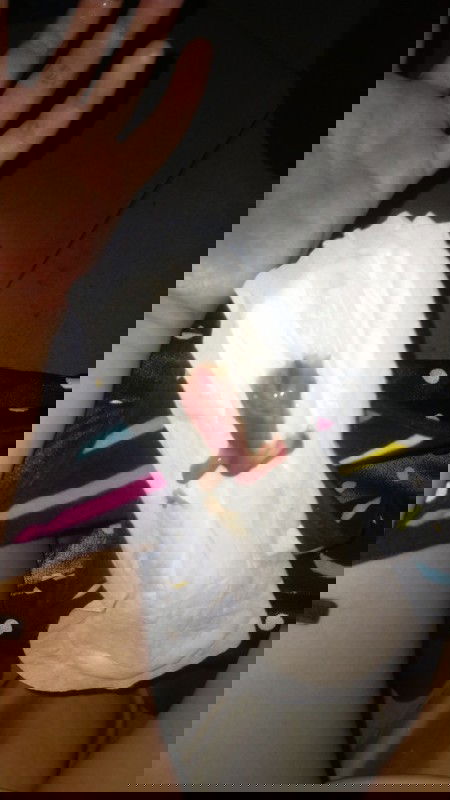 Pasensya na po sa maselang pic