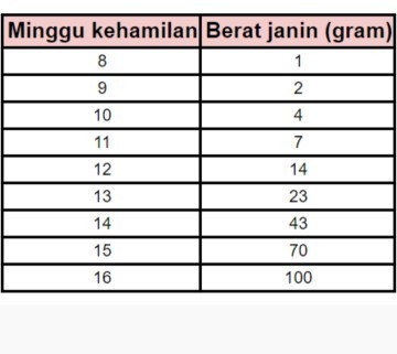 Hanya sekedar info tentang berat badan janin dari Minggu ke minggu