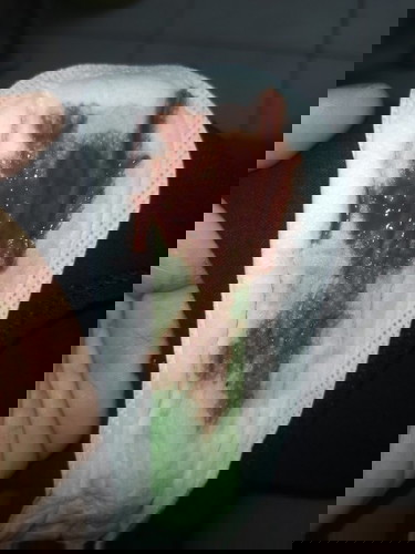 Mucus plug? Is this a sign?