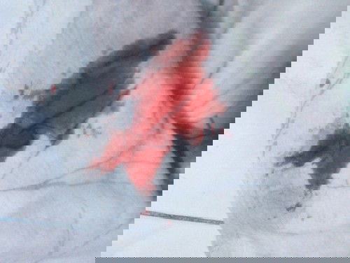 11weeks buntis. First time mommy