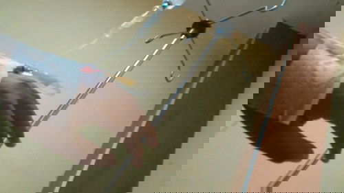 34minggu mules" teratur 2 hari