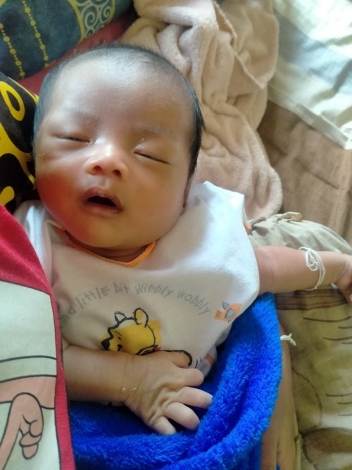 Post reply image