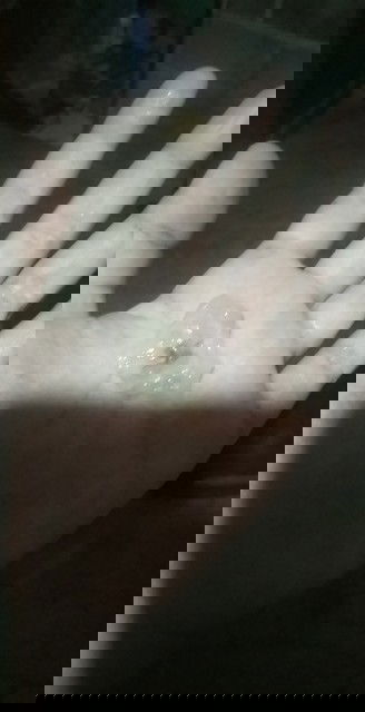 ขอคำเเนะนำ