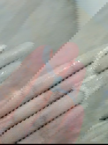 ท้อง7เดือน