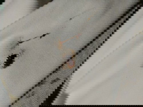 1month delay, Negative sa pt pero may brown discharge at meron din sintomas ng pregnancy.