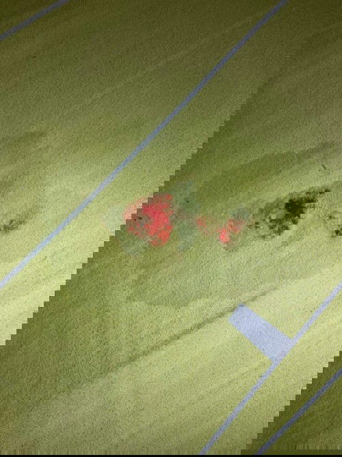 Im worried kung ano itong naisuka ni baby.