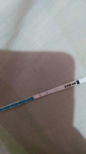 Seputar TP