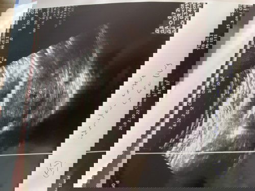 การซาวไม่เจอตัวน้อง