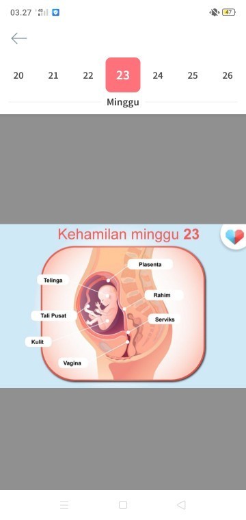 Apa wajar posisi Masi kepala di atas 24wekk