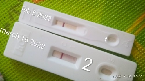 Mga momies tanung kulang po...panu po ba inomin ung pampakapit next week pa kasi check up ko e ty