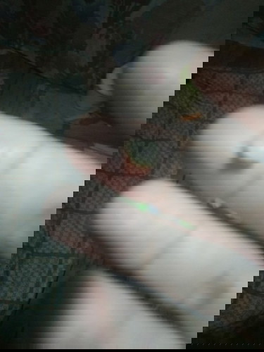 Pakisagot po mga mommy