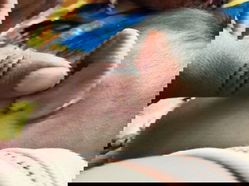 อยากถามแม่ที่มีประสบการณ์