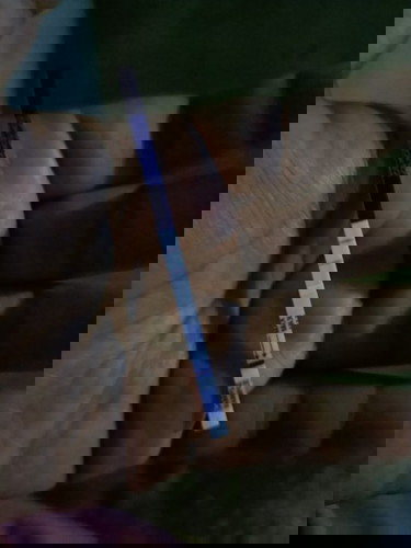 คุณแม่มือใหม่ ฝากด้วยนะคะ