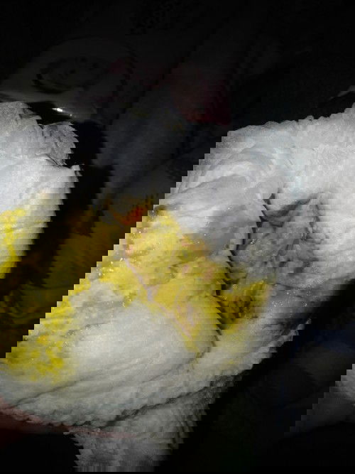 Pup berdarah di usia bayi 2,5 bln