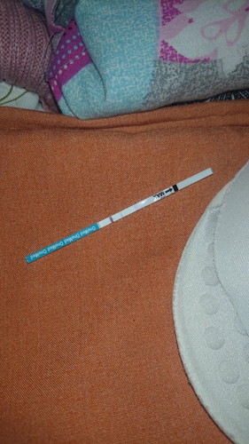 Nanya hasil TP