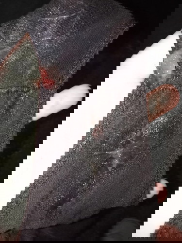 เมือกเหนียวไหล