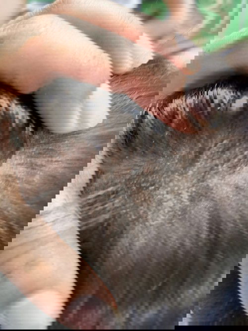 หนังศรีษะ​ลูกน้อยแห้งทำไงถึงหาย