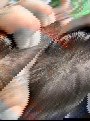 หนังศรีษะลูกน้อยแห้งทำไงถึงหาย