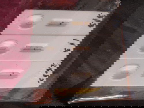 Frst test ve+ after 2W ve-