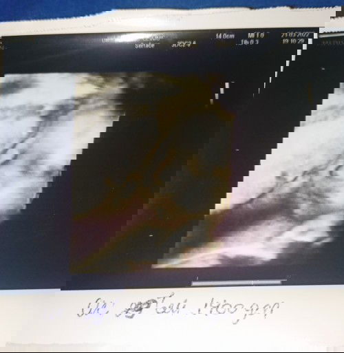 ทีมมิถุนายน