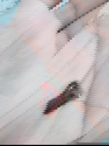 สอบถามๆที่เคยเป็นหน่อยค่ะเมื่อวานตอนบ่าย