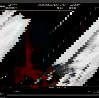 Hỏi kinh nghiệm.