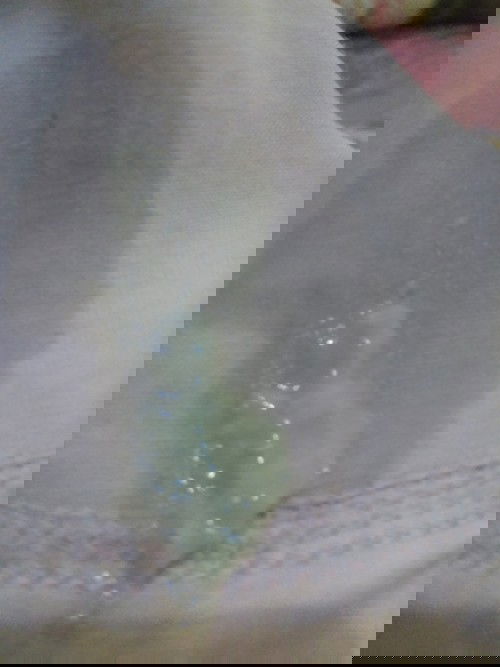 Bun maaf kalo fotonya menjijikan
Ada gak bunda yang pernah mengalami keluar keputihan seperti itu?